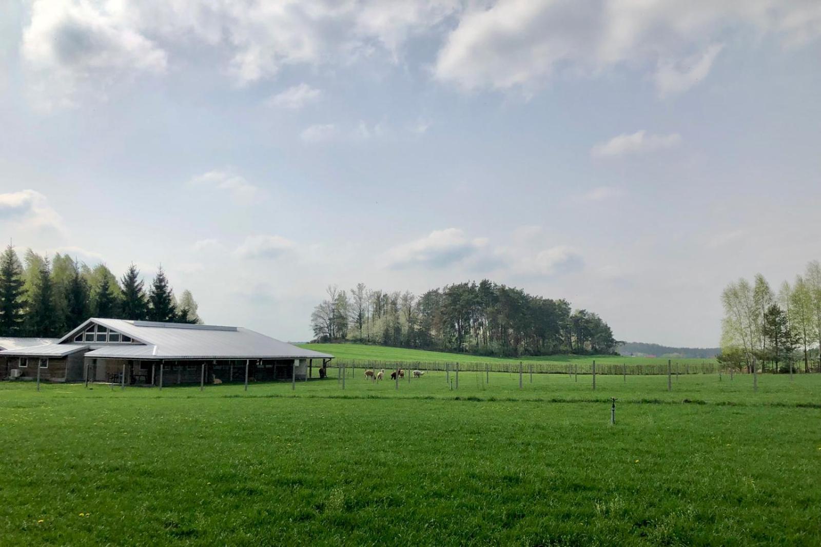 Alpakarium, Hodowla Alpak & Pensjonat Stara Kornica Esterno foto