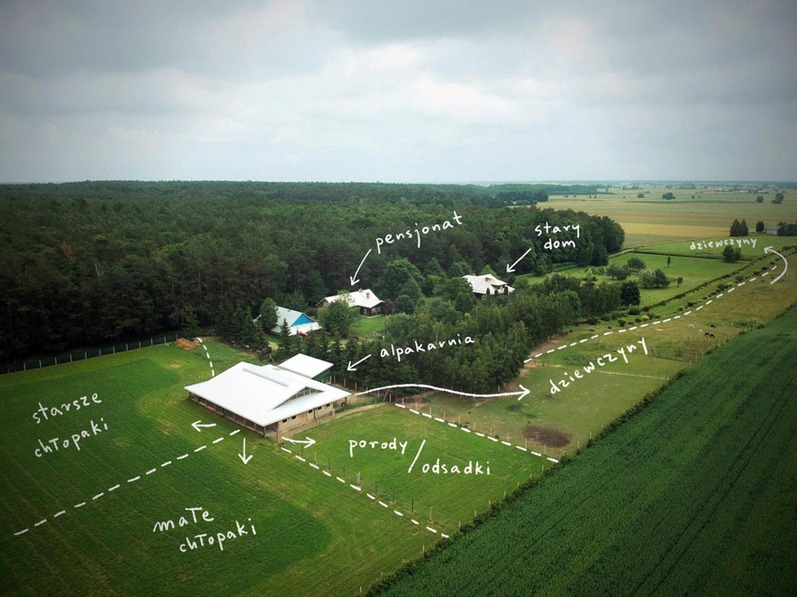Alpakarium, Hodowla Alpak & Pensjonat Stara Kornica Esterno foto