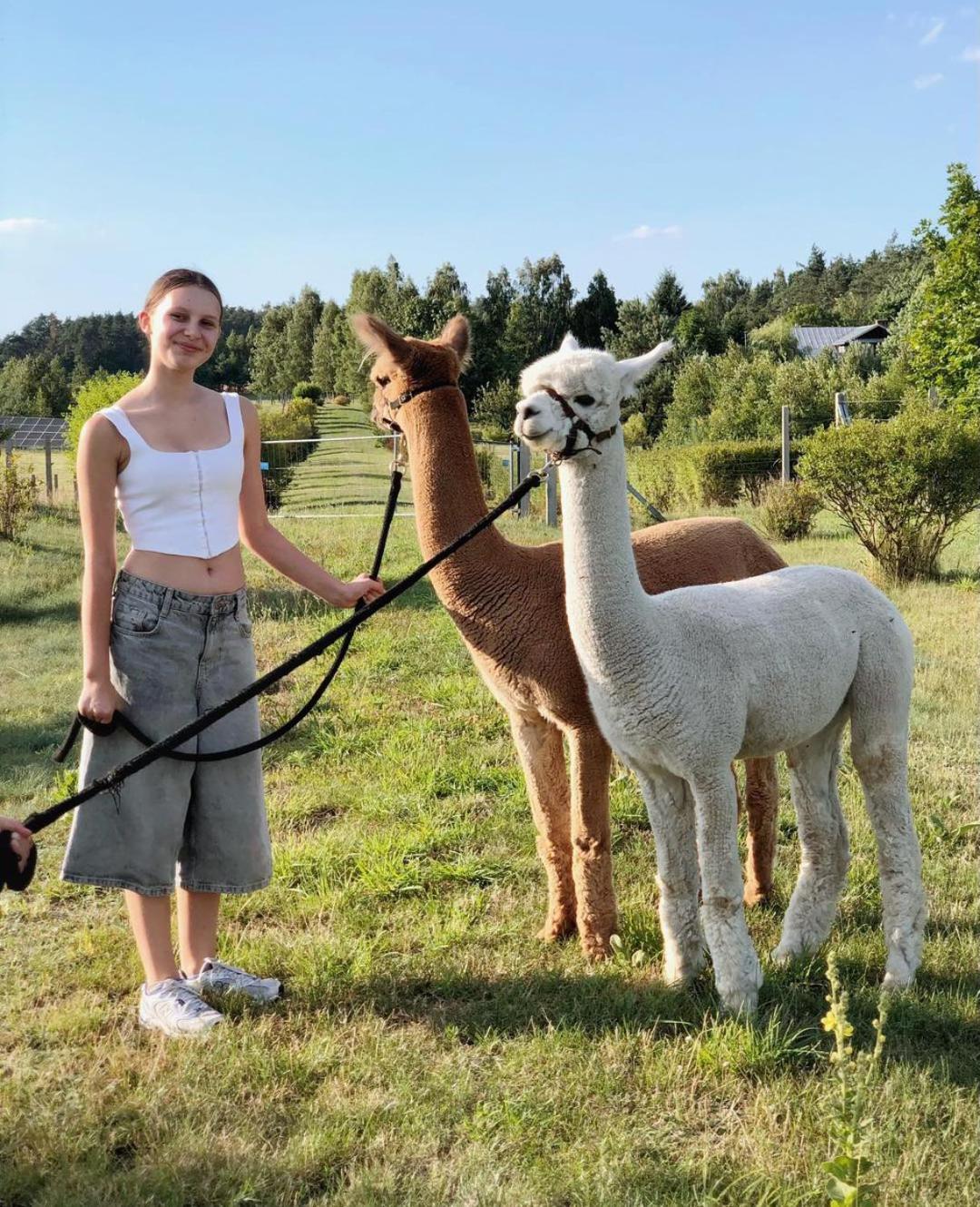 Alpakarium, Hodowla Alpak & Pensjonat Stara Kornica Esterno foto
